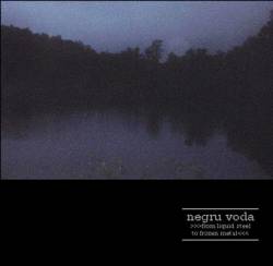 Negru Voda : From Liquid Steel to Frozen Metal